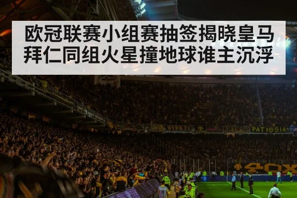 soccer stadium atmosphere