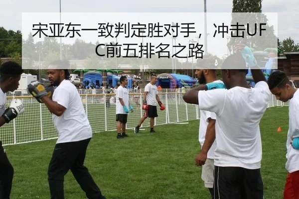 宋亚东一致判定胜对手，冲击UFC前五排名之路